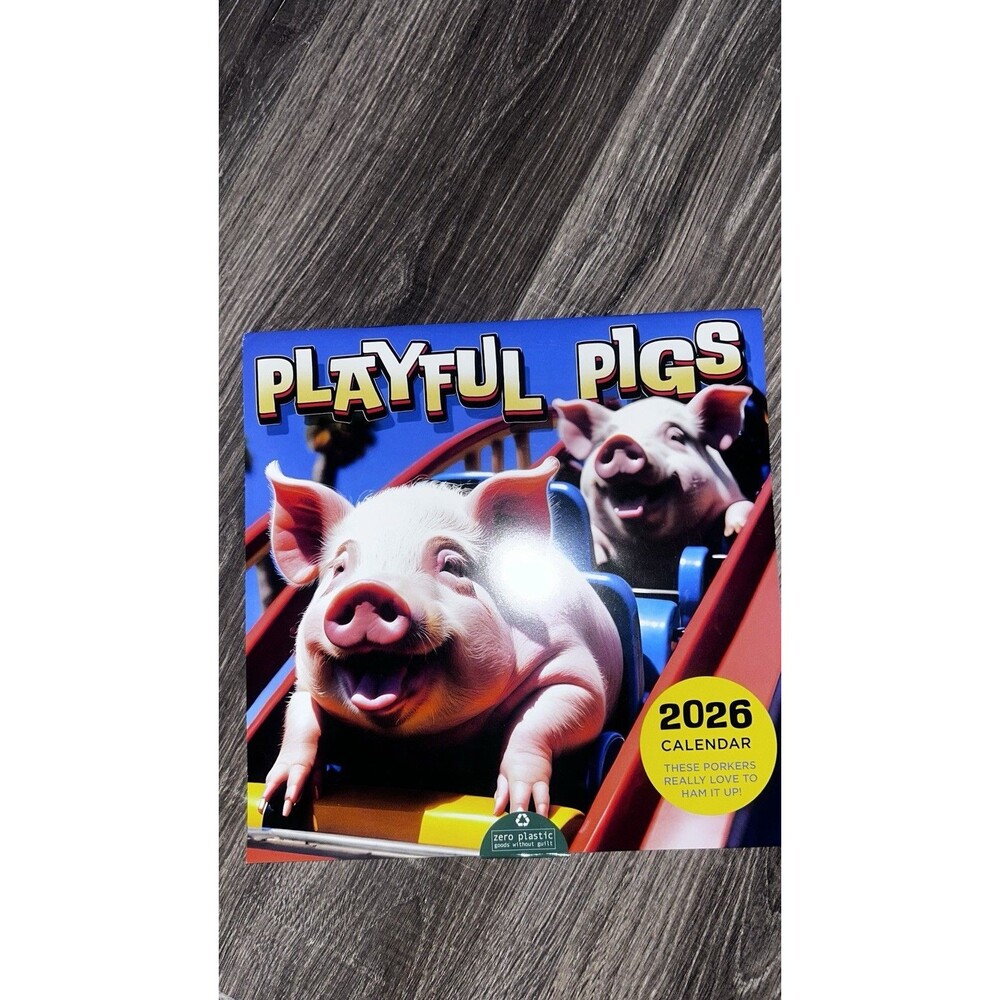 2026 Playful Pigs On Roller Coaster Wall Calendar 12”X12” Size Full Color!